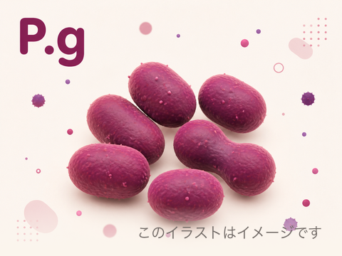 P.g(Porphyromonas gingivalis)のイメージ