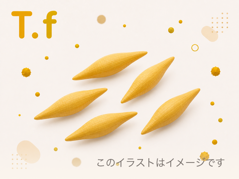 T.f(Tannerella forsythia)のイメージ